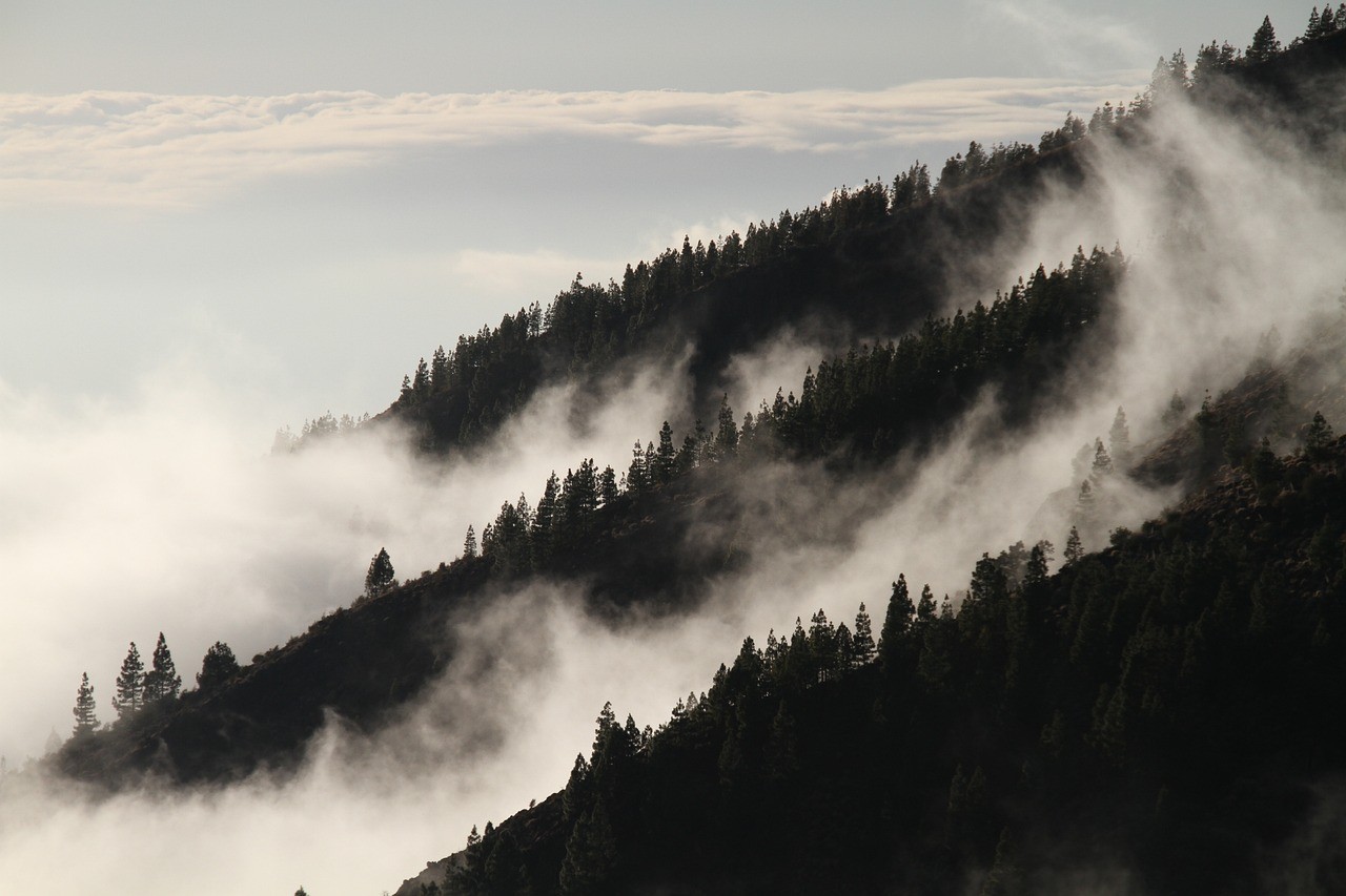 fog-1220491_1280