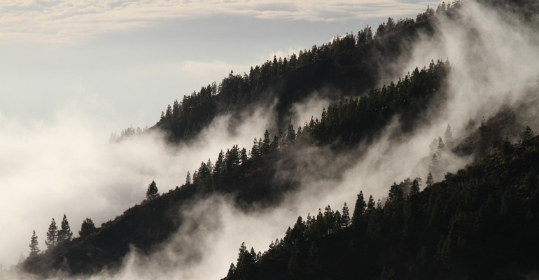 fog-1220491_1280