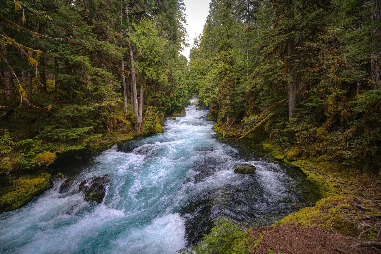 mckenzie-river-5129717_1280