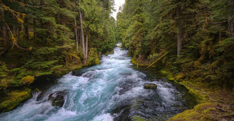 mckenzie-river-5129717_1280